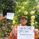월드퀸투어 이미지