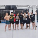 미스터샤크 수원 주짓수 킥복싱 멀티짐 이미지