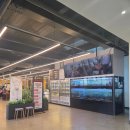 신정로151번길 | [용인] 기흥 장어 맛집 장수천 한방민물장어 신갈점 회식 단체모임 장소 추천 후기