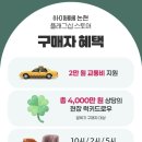 하이베베