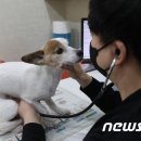 누리봄동물병원 이미지