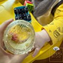 온마음푸드 | [후기이유식 추천] <푸드케어 클레 무른밥>으로 완료기 이유식 완밥시킨 후기