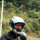 다모아투어