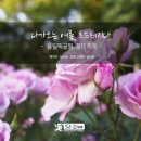 흐드러지다