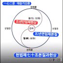 연임이위헌이다하면서,五년단임제실상을 포함하거나 일체합일하는五년연임제본질 자체를 마냥 부정하는 실현불능의위헌,모순을 주장하는 국힘야당 이미지