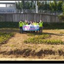 태장2동 행정복지센터 이미지