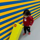 국가대표 샛별태권도장 이미지