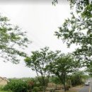 조수1리사무소 이미지