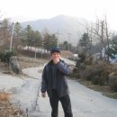 봉림흑염소 이미지