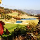 대영힐스CC 이미지