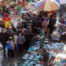 자갈치와 어머니 이미지