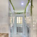 함께냥 본점 이미지