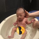 친정맘관악;동작;금천 이미지
