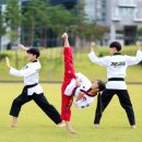 채움태권도
