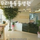 가재울봉쥬르동물병원 이미지