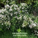 다복국제 행정사사무소 이미지