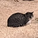 우리들의자리 이미지