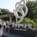 서울 일원본-110 내손안에서울