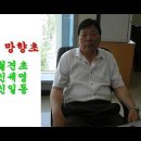 타향의 망향초(1966 희귀곡)/신일동(박진도의 유리벽 사랑 작곡가) 이미지