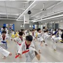 센트럴 태권도 | 각화동태권도 아이를 위한 안전하고 건강한 선택, 세정태권도 후기