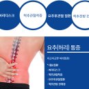 가정신현탑본정형외과의원 네이버블로그