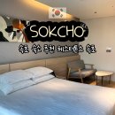 몸존휘트니스 | 속초 숙소 추천 체스터톤스 속초 스탠다드 더블 객실 사우나 조식 정보