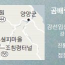 눈꽃나무 - 공주시 제민천1길 109 | 눈꽃나무
