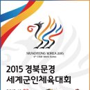 계급장 뗀 전세계 군인들의 짜릿한 한판 승부! 2015 경북문경세계군인체육대회 이미지