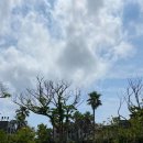 블루밍 스파앤풀빌라 이미지