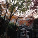 안국온누리약국 이미지