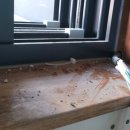 전주양지중학교 이미지