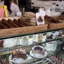 구, 시청 | 제주 베라체 밤늦게까지 하는 신상카페 아마토미유(구 시청 리유니온) 후기