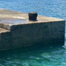 라라보목 이미지