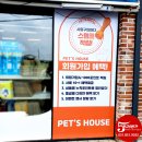 펫츠니즈