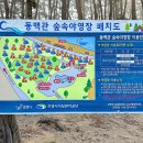 용두해수욕장 숲속야영장 이미지