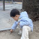 26개월 아기 젓가락질 성공한 날 ! 아들 발레 수업 후기 ㅋㅋㅋ
