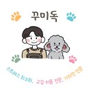 꾸미독 동탄애견미용 | [실버푸들, 고등어코숏] 팡이의 이중생활 (반송동 미용실 부원장 부캐)