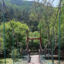 용소웰빙공원고가교하부 | &lt;주변탐방&gt;20.5.23(토)기장용소웰빙공원.한바퀴