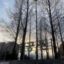 새터근린공원 이미지