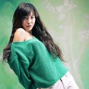 구지성 카카오 검색결과