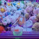 요기뽑기요 청라수변점 이미지