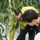 천은농장 이미지