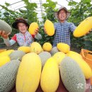 황제농장2 이미지