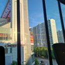 P-6113 | 23. 5-2 + Tokyo trip