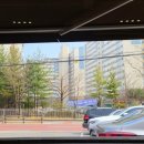 수원-1570 | 수원가족모임 하기 좋은 대궐막국수 수원직영점, 봄 여름 입맛 돋우는 막국수 맛집