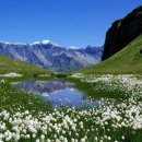 개마고원 이미지