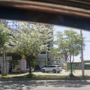 관문세차장 | 청주 노터치 자동세차장 워싱데이 청주관문점 후기