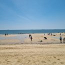 대천레이싱카트 | 대천해수욕장 아이랑 가기 좋을까?🏖️ 즐길거리 가득한 서해안 대표 해수욕장
