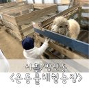 석현농장 | 시흥/방산) 동물 먹이주기 체험이 가능한 &lt;온동물 체험농장&gt; 17개월 아기랑 이용후기