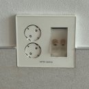 벽지 뜯는 강아지&가람 | [인테리어 05] 강아지 키우는 신혼집 인테리어_벽지 뜯는 강아지 해결_실크벽지 구정마루